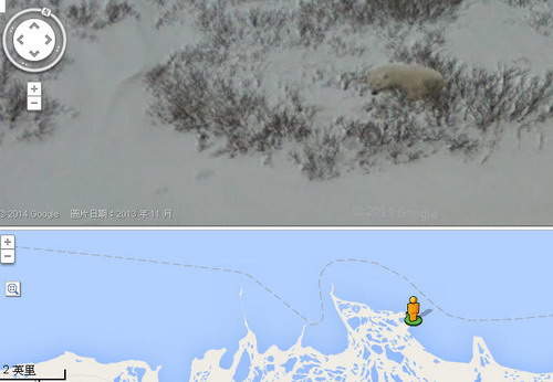 Google街景之北極熊探險日  滑鼠鍵盤準備好