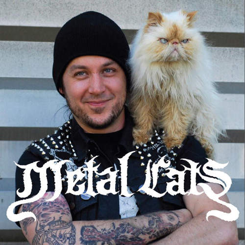 《重金搖滾貓》遇上可愛的喵　Rocker都一起變可愛惹♥