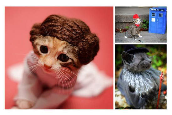 《貓的！COSPLAY》這些宅宅的喵喵們～(已抱緊)