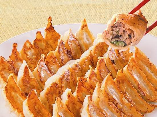 《超下飯宇都宮餃子醬》體驗日本餃子配白飯的文化～