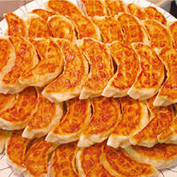 日本一年一度《宇都宮餃子祭》一盤100円