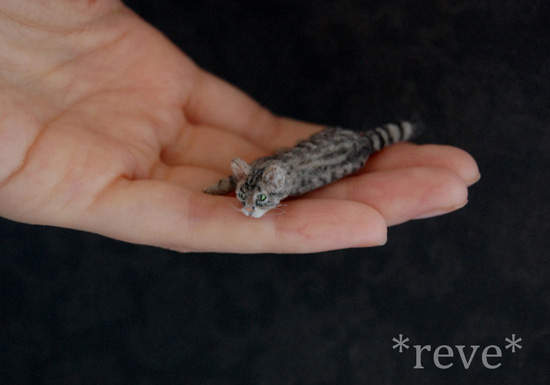 萌到不行《迷你軟陶雕塑》栩栩如生啊 萌到不行《迷你軟陶雕塑》栩栩如生啊