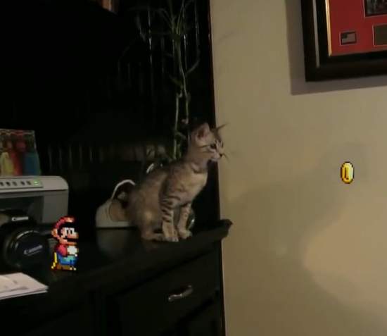 《超壞瑪利歐》原來這些出糗影片都是你幹的好事(指) 《超壞瑪利歐》原來這些出糗影片都是你幹的好事(指)