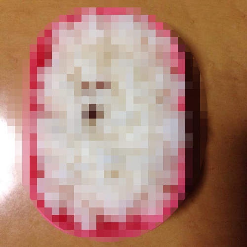 震驚卡通便當界的《玩具貴賓便當》爆誕　難道只有我看不出來嗎...