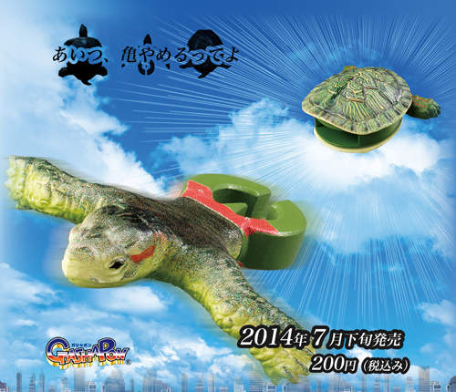 衝出龜殼的《烏龜轉蛋》其實牠不是放棄當烏龜而是...www