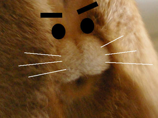 《貓咪身上的鈴鐺蛋糕》羊毛氈版本也來啦