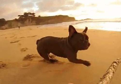 《身歷其境的動圖大合集》用看的也能感同身受