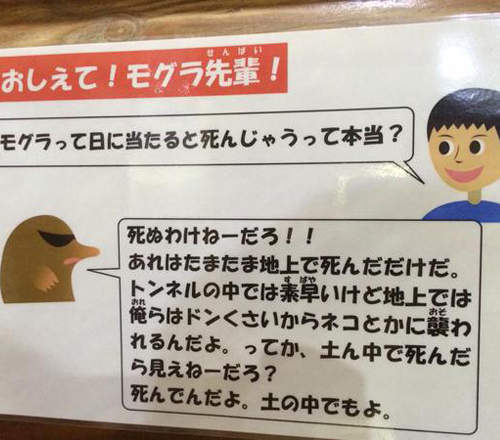 動物園裡的《毒舌鼴鼠》爆笑解答讓你了解鼴鼠生態 動物園裡的《毒舌鼴鼠》爆笑解答讓你了解鼴鼠生態