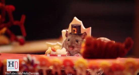 《倉鼠的感恩節大餐》腮幫子炸開的節日又來了ww 《倉鼠的感恩節大餐》腮幫子炸開的節日又來了ww