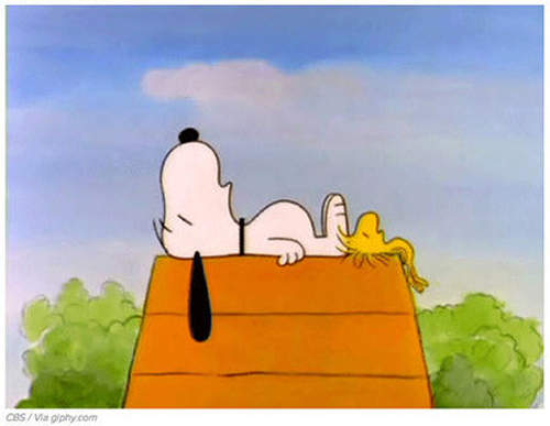 18個光明正大「睡午覺」的正當理由  老闆聽到了嗎zzZZ