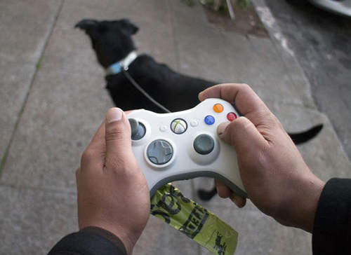 《Xbox360淘汰手把活用法》真實版遛狗遊戲(樂) 《Xbox360淘汰手把活用法》真實版遛狗遊戲(樂)