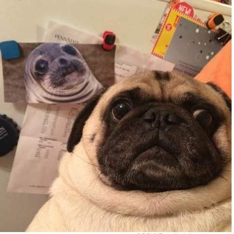 《趣味照片大集合》這些照片也太幽默了啦~XD 《趣味照片大集合》這些照片也太幽默了啦~XD