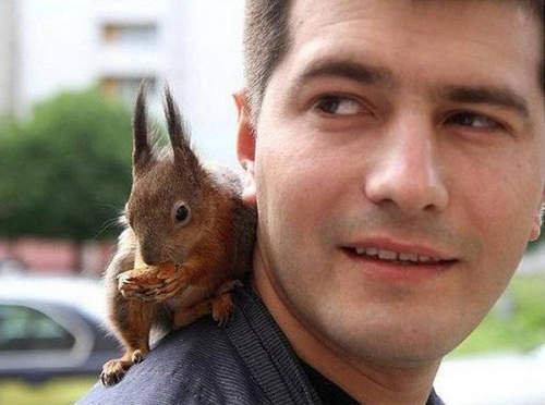 超可愛《帥哥與小松鼠》我可以兩隻一起打包帶走嗎(//▽//) 超可愛《帥哥與小松鼠》我可以兩隻一起打包帶走嗎(//▽//)