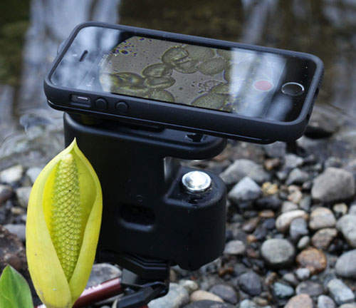 「MicrobeScope」800倍強度的哀鳳顯微鏡 「MicrobeScope」800倍強度的哀鳳顯微鏡