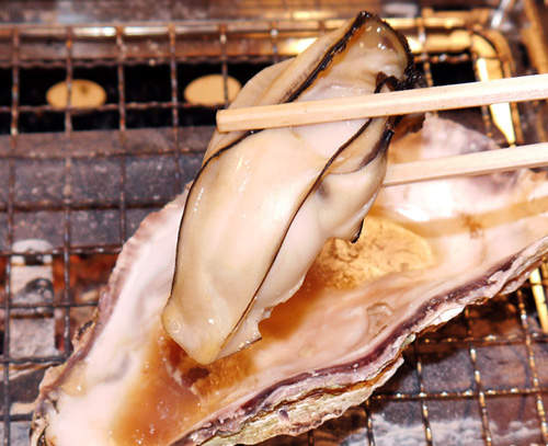 日本大流行中《牡蠣小屋》一探究竟去