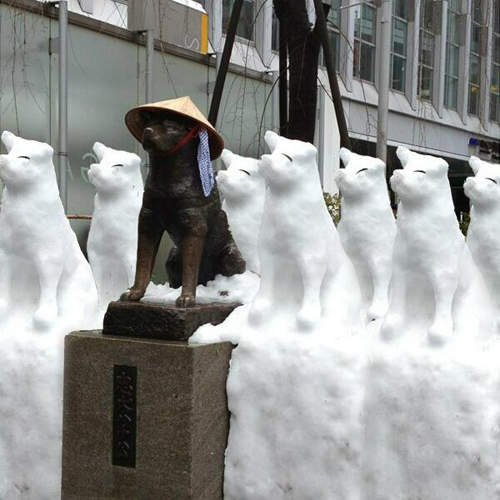 關東大雪又來襲《個性雪人》再次登場 忠犬八公也大量繁殖ww 關東大雪又來襲《個性雪人》再次登場 忠犬八公也大量繁殖ww