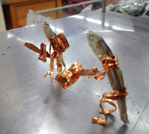 超市店員的《魚乾劇場》打發時間就靠小魚了～