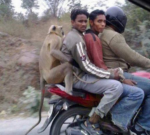 《怪奇道路景像》你他X的我到底看到了什麼？