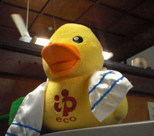 錢湯小鴨大爆發　今晚也來弄一池黃色鴨鴨療癒一下吧