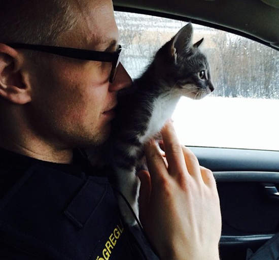 《冰島警察Instagram》都是動物跟食物有點萌萌噠(❛◡❛✿) 《冰島警察Instagram》都是動物跟食物有點萌萌噠(❛◡❛✿)