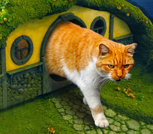 《魔戒貓砂屋》上個廁所是在霸氣什麼啦www 《魔戒貓砂屋》上個廁所是在霸氣什麼啦www