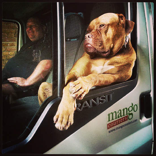 2013手機攝影獎優勝出爐....這已經超越攝影的境界了吧 2013手機攝影獎優勝出爐....這已經超越攝影的境界了吧