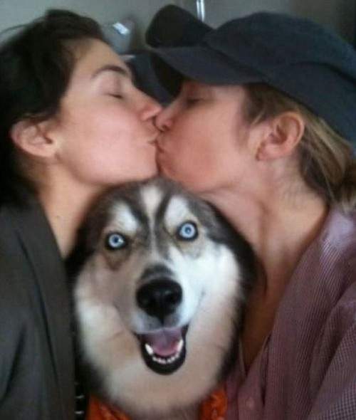 《養狗前後的差別》主人們膝蓋背部注意XD