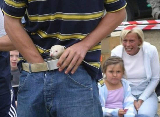 《世界怪奇比賽》被放進褲檔的雪貂表示：