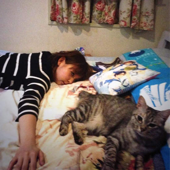 中川翔子 房間(腐)《FREE!》味滿滿 中川翔子 房間(腐)《FREE!》味滿滿