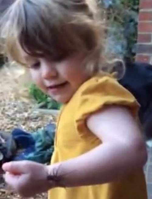《2歲小女孩看到蜘蛛在身上爬》不但不怕　還做出暖心的俏皮反應