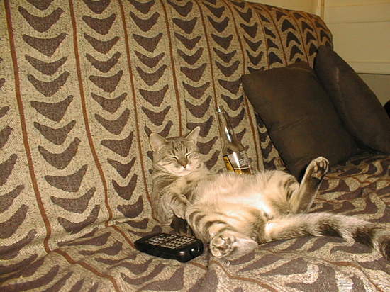 睡著後自動錄影手環 這是沙發馬鈴薯的好朋友 睡著後自動錄影手環 這是沙發馬鈴薯的好朋友