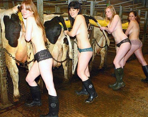 日本人小時候《夢想職業TOP10》和你一樣嗎？