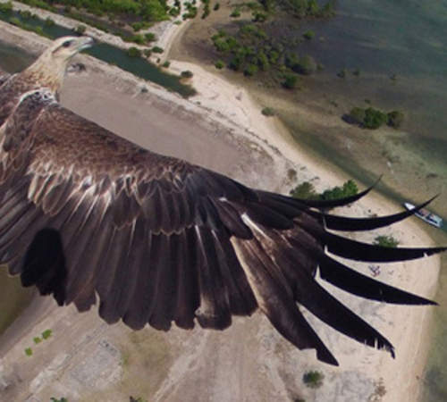 網友票選《Drone 無人飛行機拍的特殊照片TOP 10 》從高空看東西就是不一樣