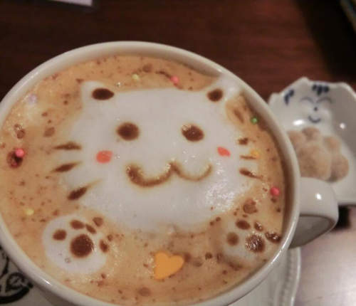 貓奴必見♥滿滿《貓咪料理》的超幸福空間「ねこまる茶房」 貓奴必見♥滿滿《貓咪料理》的超幸福空間「ねこまる茶房」