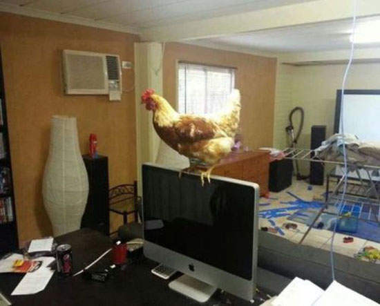 《KUSO辦公室》員工的怨念是很可怕的