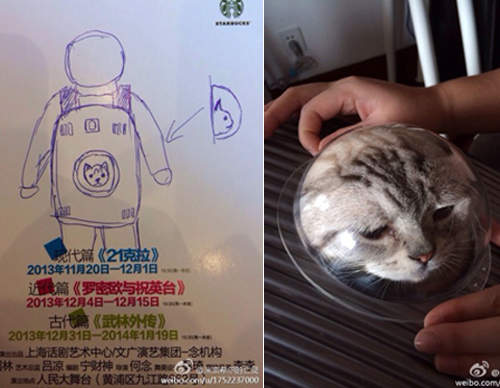 微博網友設計的《貓貓包》應該不舒服吧 微博網友設計的《貓貓包》應該不舒服吧