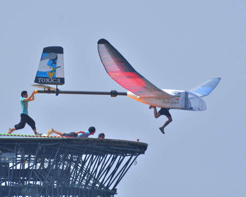 《鳥人間》飛來飛去的超治癒小物(ง •̀_•́)ง