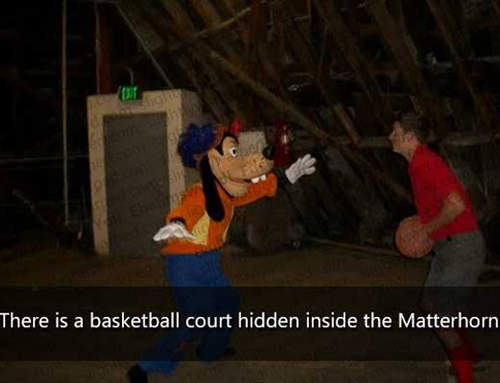 續集《迪士尼樂園隱藏秘密》你不知道的事實是? 續集《迪士尼樂園隱藏秘密》你不知道的事實是?