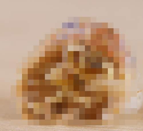 另類的《曬寵物照》有些寵物看起來毛毛的......(哭) 另類的《曬寵物照》有些寵物看起來毛毛的......(哭)