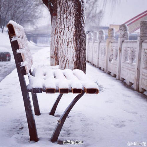 《隨手拍雪景》隨便一拍都好像一幅畫~ 《隨手拍雪景》隨便一拍都好像一幅畫~