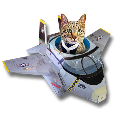 《貓箱》貓咪才能開的潛水艇跟戰鬥機喵~ΦᴗΦ 《貓箱》貓咪才能開的潛水艇跟戰鬥機喵~ΦᴗΦ