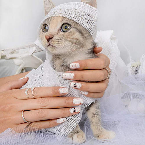 《愛心認養貓指彩》這指甲彩繪的背後故事令人動容