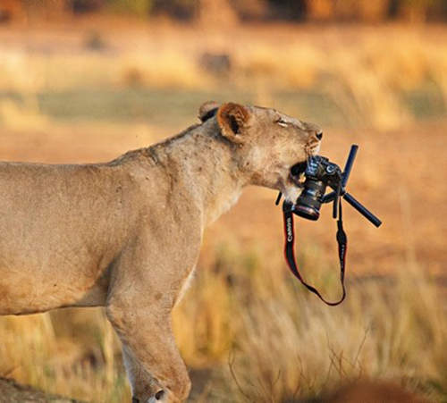 2014《相機失竊排行榜》最愛用的偷竊方式和最愛偷的品牌 2014《相機失竊排行榜》最愛用的偷竊方式和最愛偷的品牌