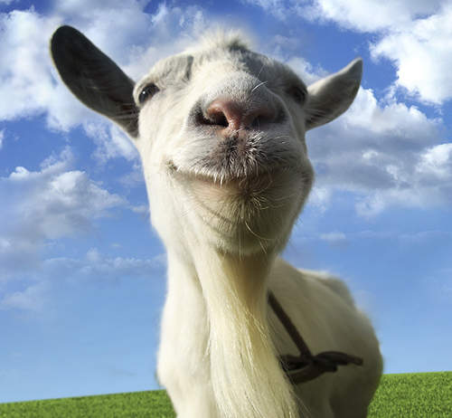 快打版模擬山羊　注意我很兇千萬別惹我喔（頂）