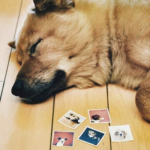 隨身攜帶的《Instagram紋身貼紙》網路斷訊也能看照片唷～