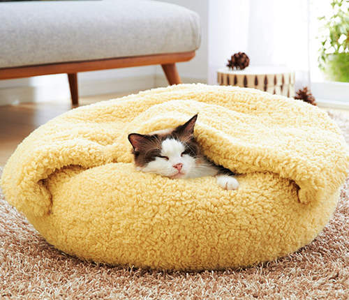 暖呼呼《寵壞貓咪的床》連狗狗也無力抵抗惹（軟）