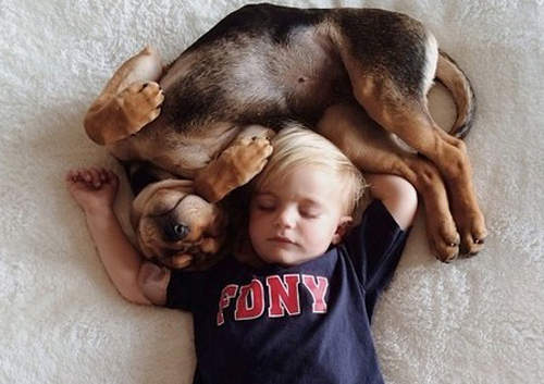 超級《好睡友》就算長大了 睡姿也一樣讓人融化❤