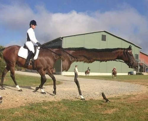 18張拍壞的照片 你們真的是地球生物嗎? 18張拍壞的照片 你們真的是地球生物嗎?