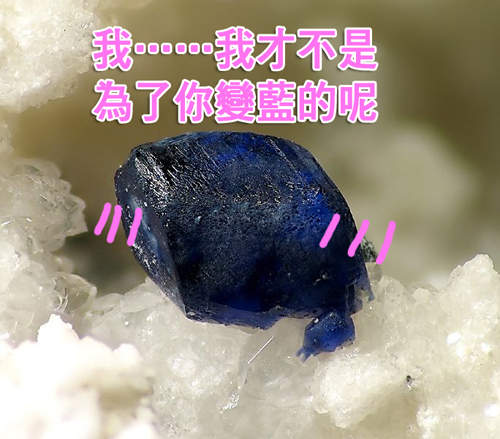 醫生醫生 我《看著礦物也能萌》這樣還有救嗎? 醫生醫生 我《看著礦物也能萌》這樣還有救嗎?