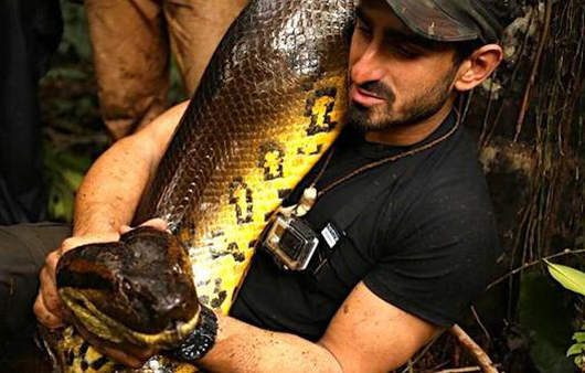 《蟒蛇生吞秀》結果觀眾超失望的理由是... 《蟒蛇生吞秀》結果觀眾超失望的理由是...